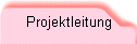 Projektleitung