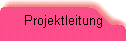 Projektleitung