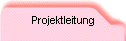 Projektleitung