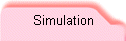 Simulation