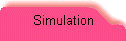 Simulation