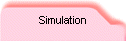 Simulation